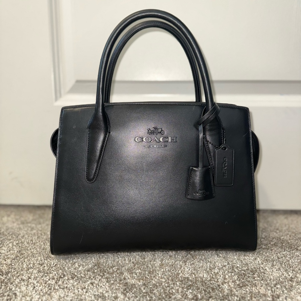 Coach Large Andrea Carryall Bag